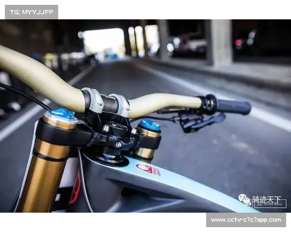 男子精英组对决：英国车手Matt Walker与Danny Hart的秒差之争